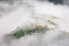Mist rising from tapestry of blooming trees in spring-Great Smoky Mountains NP-NC Art Print
